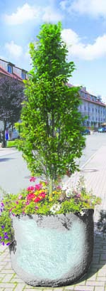 Cup Collection Natursteinähnliche Pflanztröge
