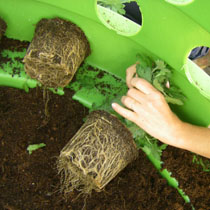 TOP Collection, Blumenpyramiden, Blumenetagen, Etagen, Rotgrand Pflanzsubstrat, Rotgrand, Pflanzpyramide