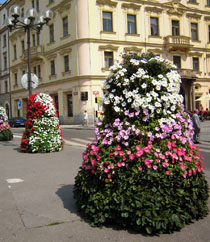 TOP Collection, Blumenpyramiden, Pflanzpyramide, Pflanzsäule, Blumensäule 