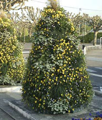 TOP Collection, Blumenpyramiden, Pflanzpyramide, Gartenpyramide, Pflanzsäule TOP Collection, Blumenpyramiden, flanzpyramide, Gartenpyramide, Pflanzsäule
